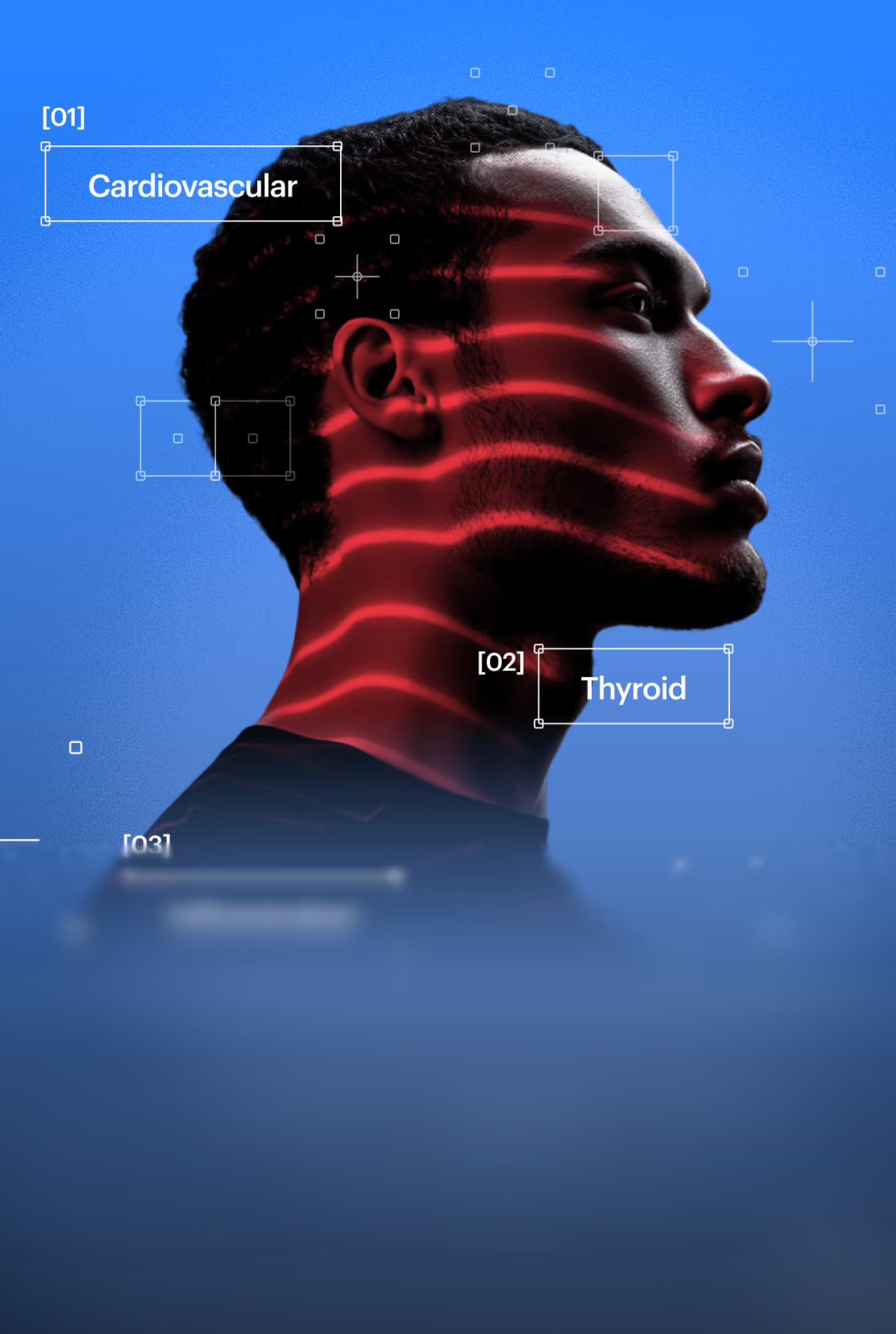 An Ultrahuman body-scan graphic: red contour lines over a profile portrait with cardiovascular and thyroid markers labelled